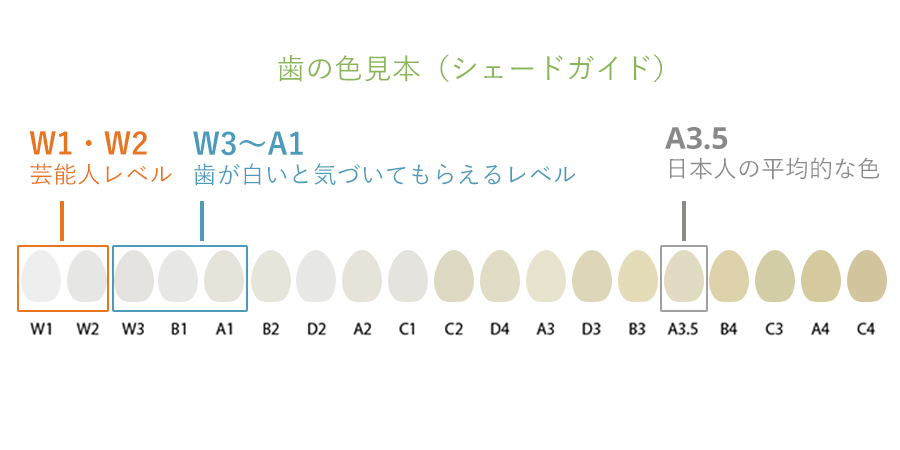 歯の色見本